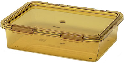 Large, Short Container